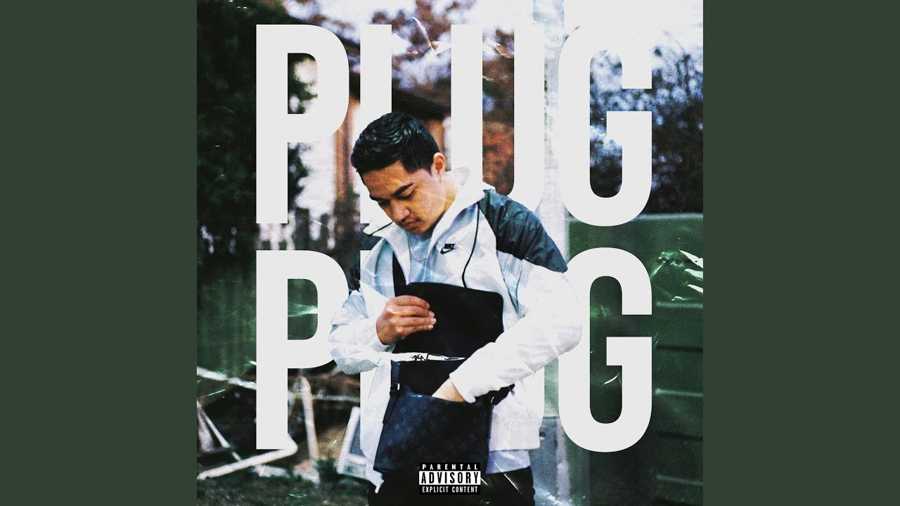 Plug
