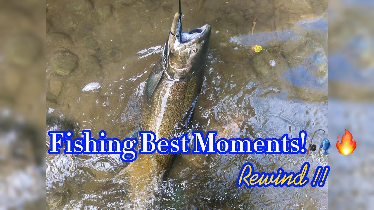 Salmon Fishing Best Moments &ndash; Rewind and Uncut! 🎣🐟⏪️ #short #nature #fishing #live