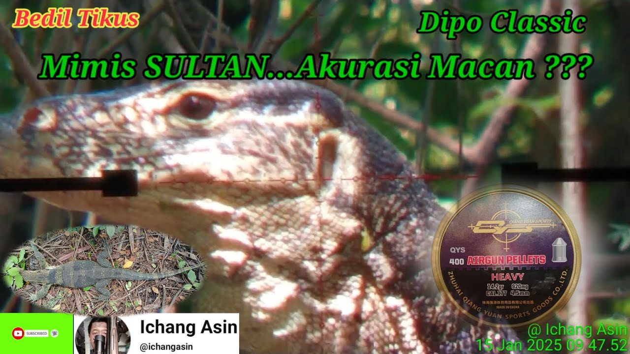 Berburu 37 : Dipo Classic...Mimis SULTAN, Akurasi Macan ??? (QYS Heavy vs Carl Zeiss)