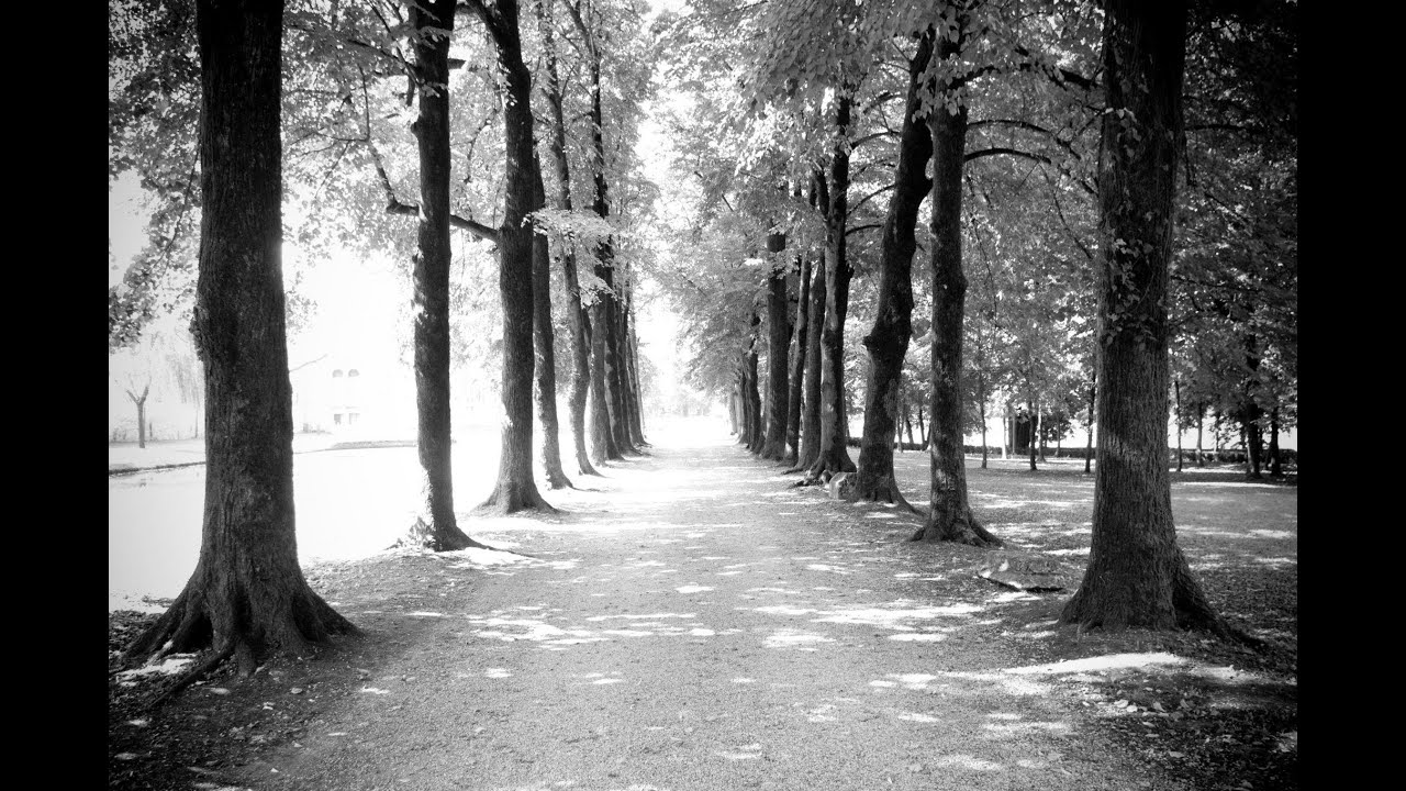 Beethoven, String Quartet 15 In A Minor, Op. 132, 