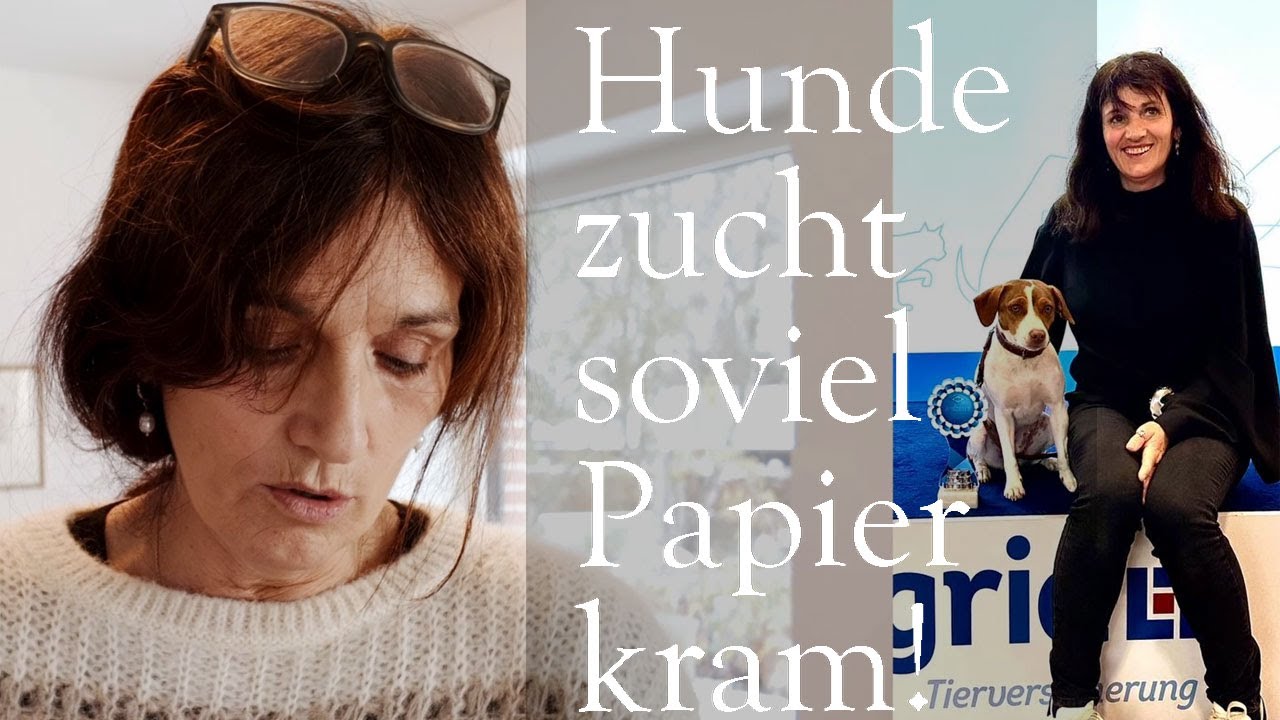 Hundezucht im VDH - zu viel Papierkram? oder sinnvoll. Karin Dix Danish Swedish Farmdog. Dansky.