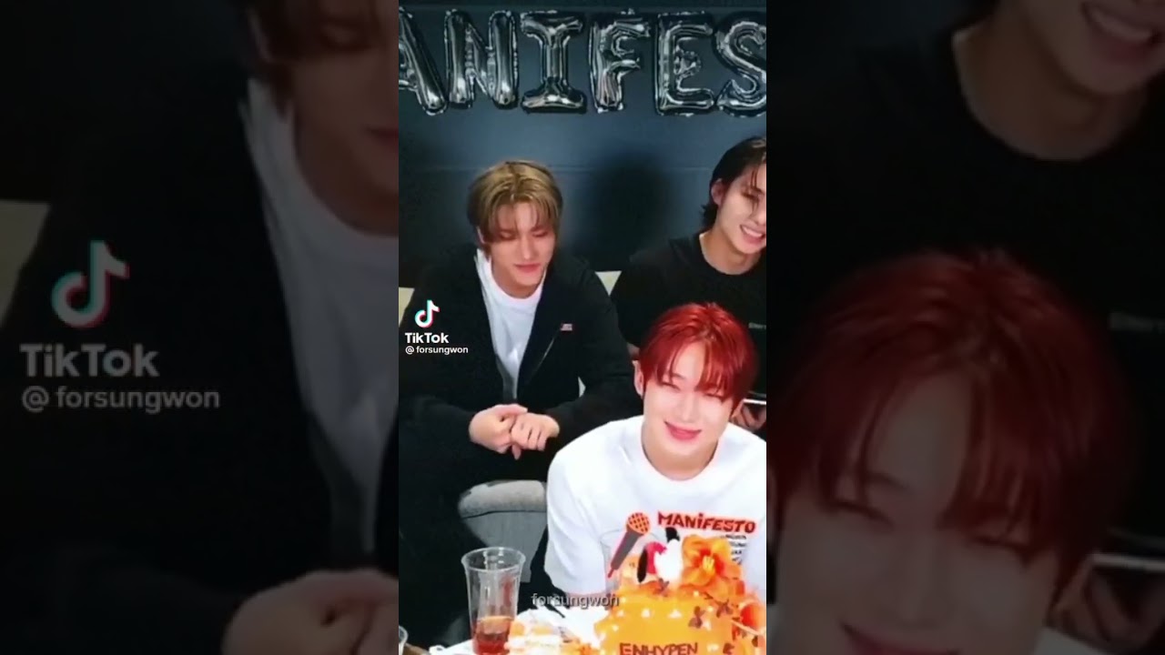 [ENHYPEN] Sungwon tiktok because Jungcat is the cutest for his owner ✨😻💕| Sungwon moments