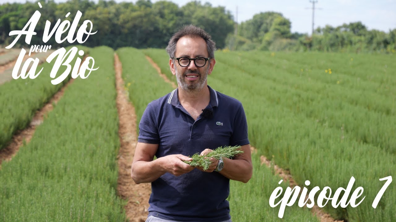 [Épisode 7] À vélo pour la bio - Bio et alimentation 🫖