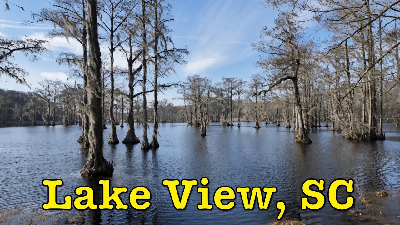 Lake View | Town Center Walk Through | Visit, shop, eat, move to, or start a business