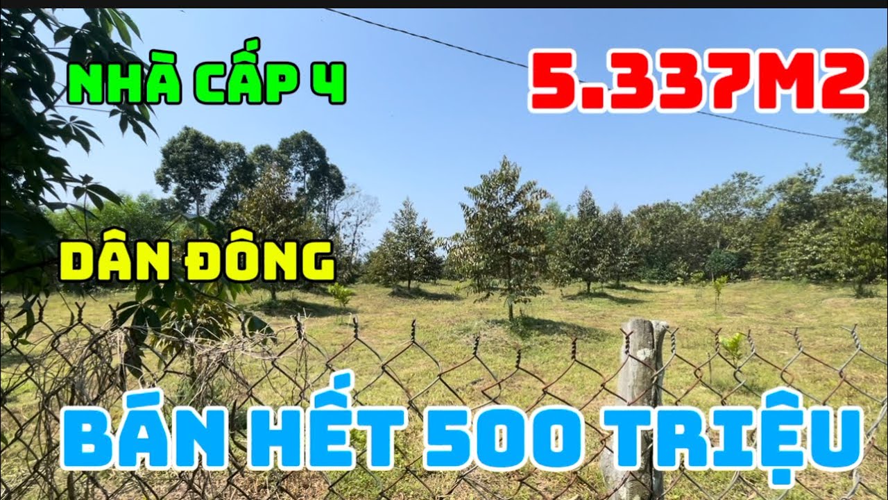 Cần bán nhà 🏠 cấp 4 tổng 5 sào 3 giá bán hết đất chỉ 500 triệu tại đồng Nai 