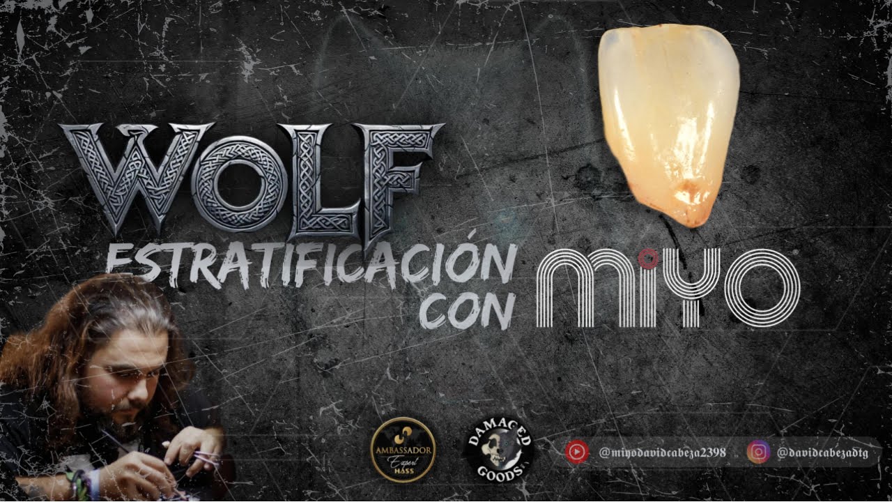 ¿Cómo estratificar con MiYo? El Central Anciano #2 en acción