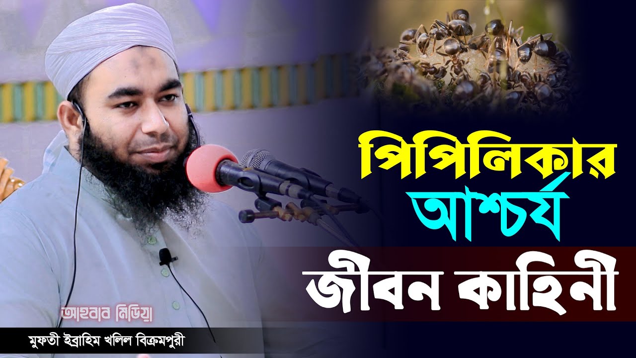 পিপিলিকার আশ্চর্য জীবন কাহিনী/মুফতী ইব্রাহিম খলিল বিক্রমপুরী/mufti Ibrahim Khalil