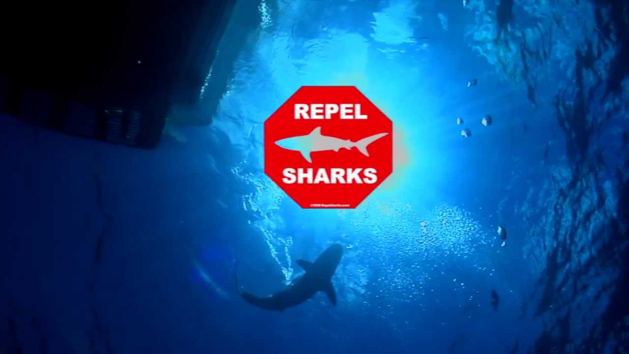 Shark Defense - Magnetic Repellants