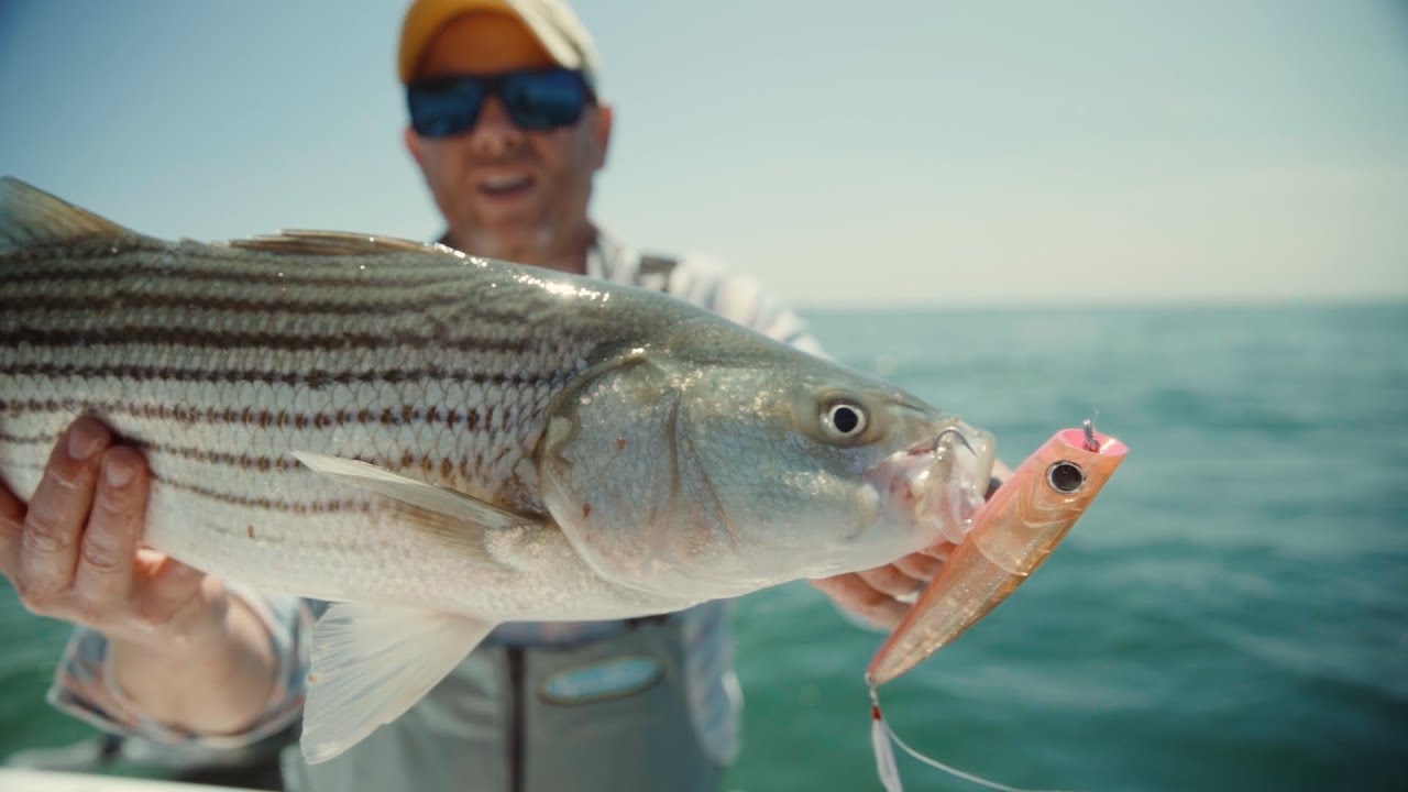 Комбо-тур: морской окунь в Slack | Stripers в Wasque Rips | S2024, E5