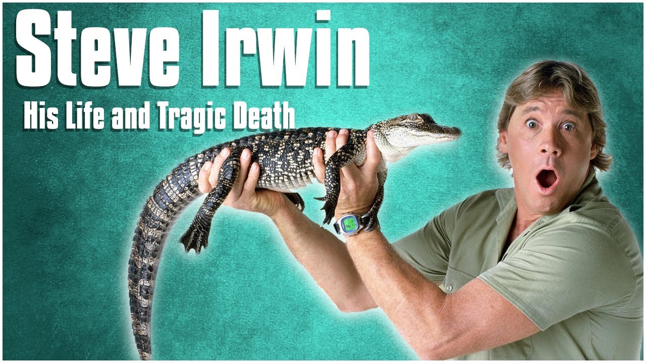 The Life and Tragic Death of Steve Irwin | Biography | Well, I Never Stars