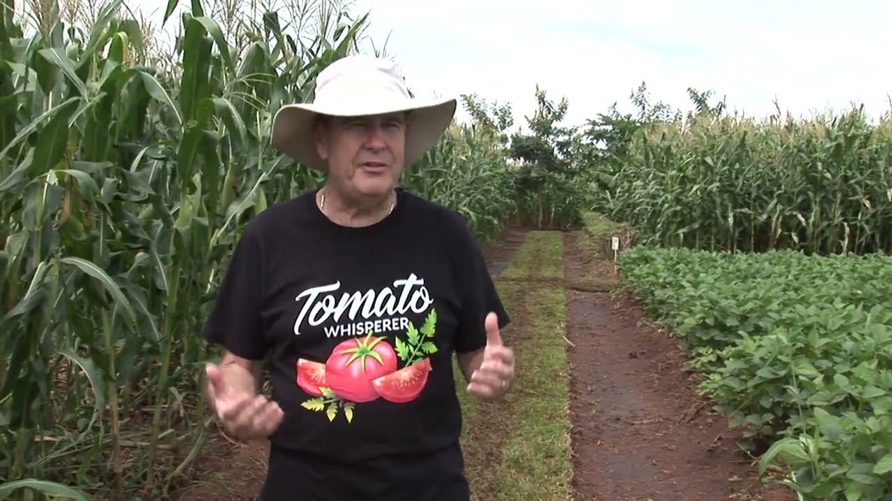 Namikango Farm - 2021