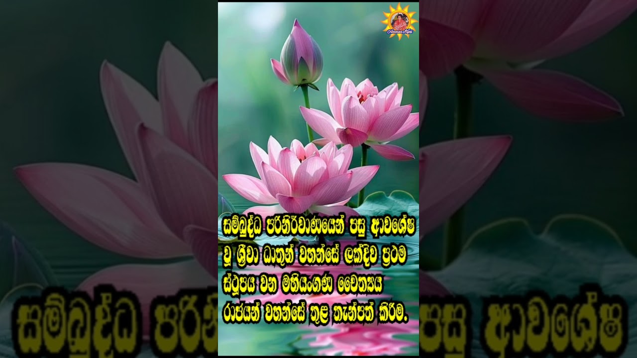 බිනර පුන්පොහෝ දිනය අදයී...