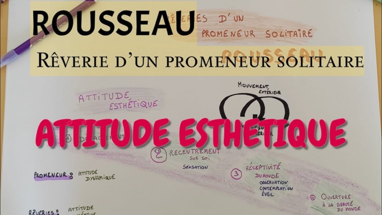 ROUSSEAU, RÊVERIES D'UN PROMENEUR SOLITAIRE, ATTITUDE ESTHÉTIQUE.