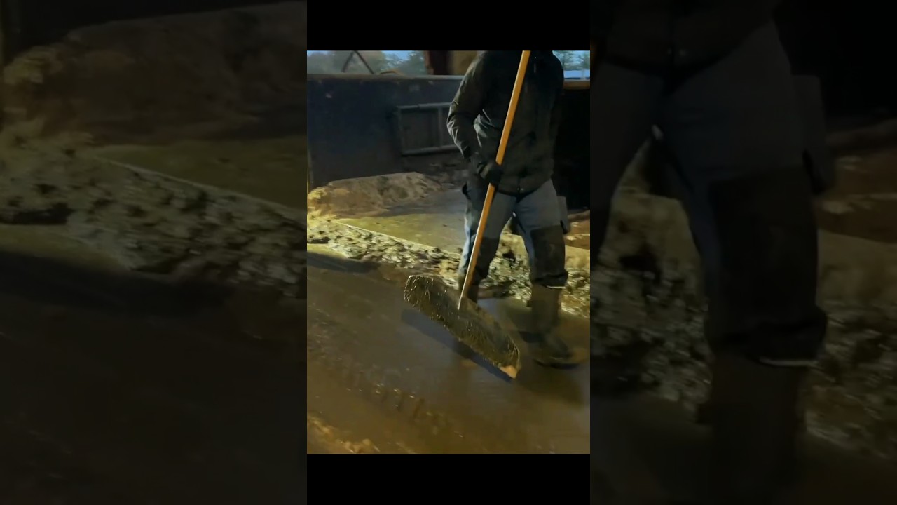Farm Hygiene: Tidying Up after the Cows