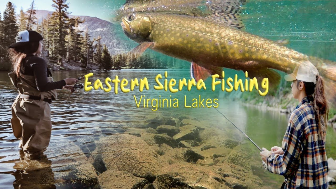 Hidden Gem | Virginia lakes Trout Fishing | Eastern Sierra Fishing | 2023