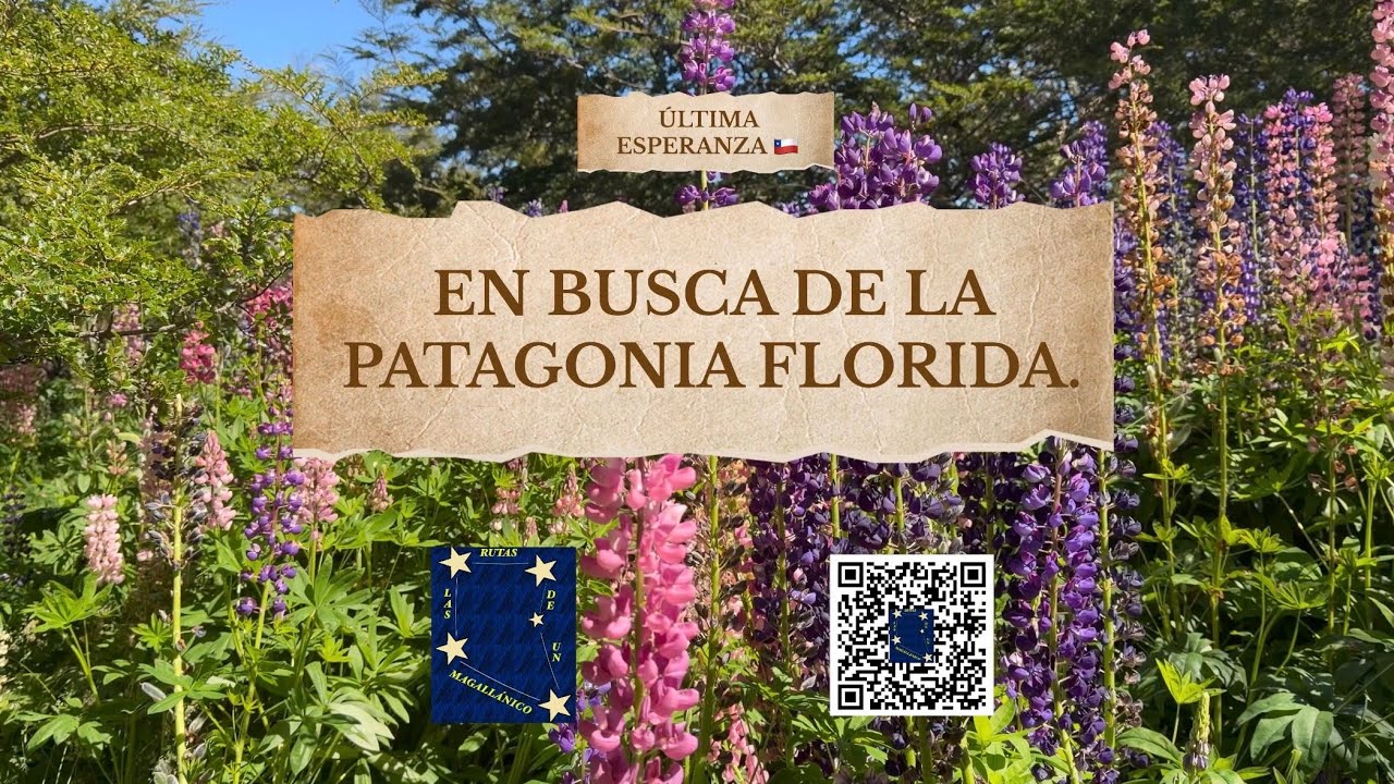 NO creerás que esto es el FIN DEL MUNDO: Patagonia Florida 🇨🇱