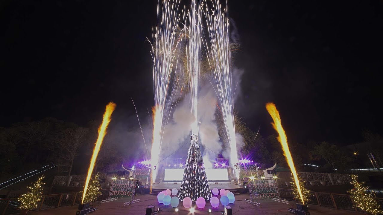 2022.01.03 デンパーク ウィンターイルミ×花火ショー！