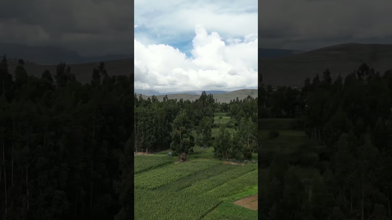 #Huancayo #Viques #peru