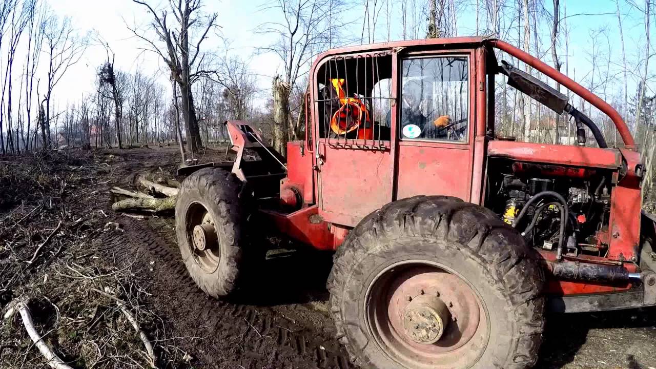 NADLEŚNICTWO MIĘKINIA