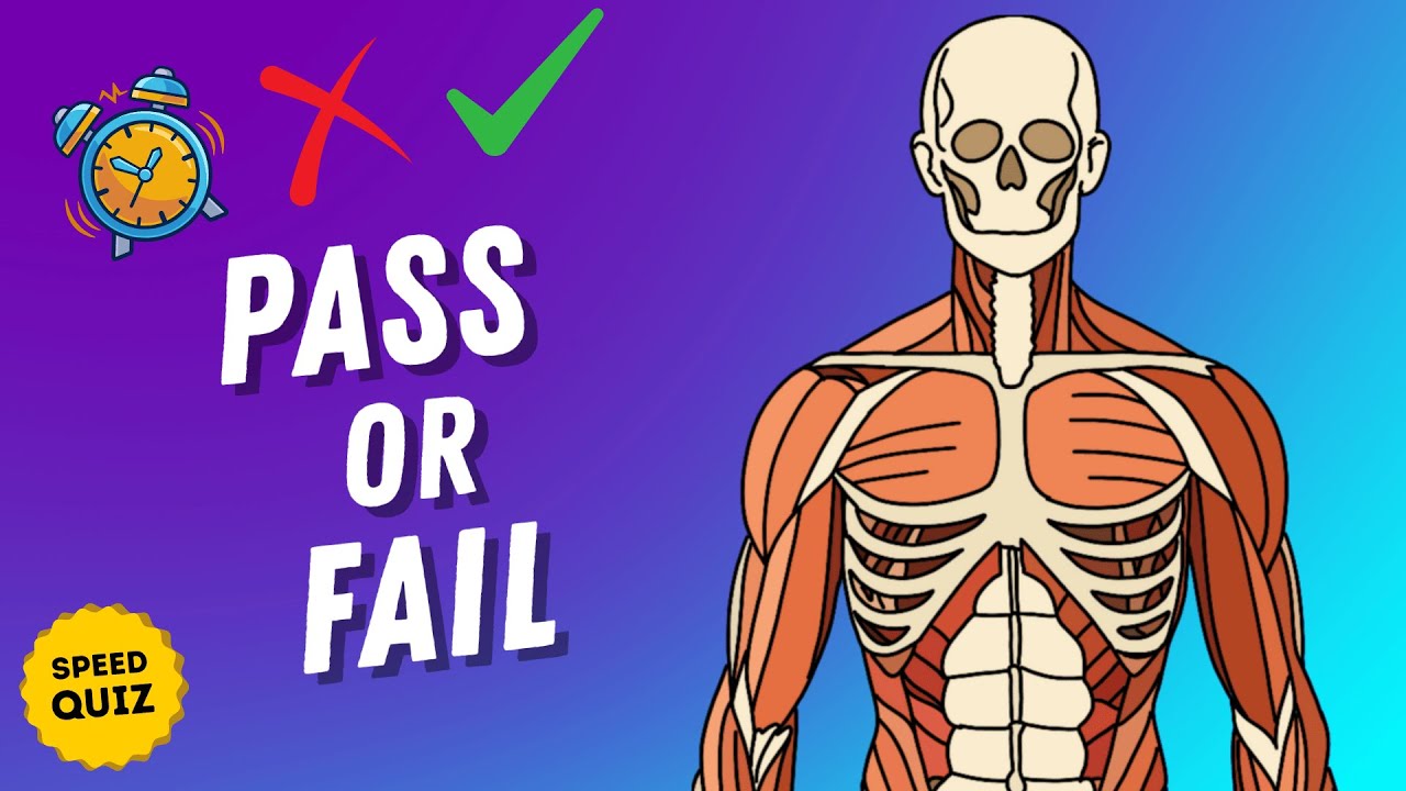 Human Body GK Quiz 🧠 | 100 Questions Only Smart Minds Finish!