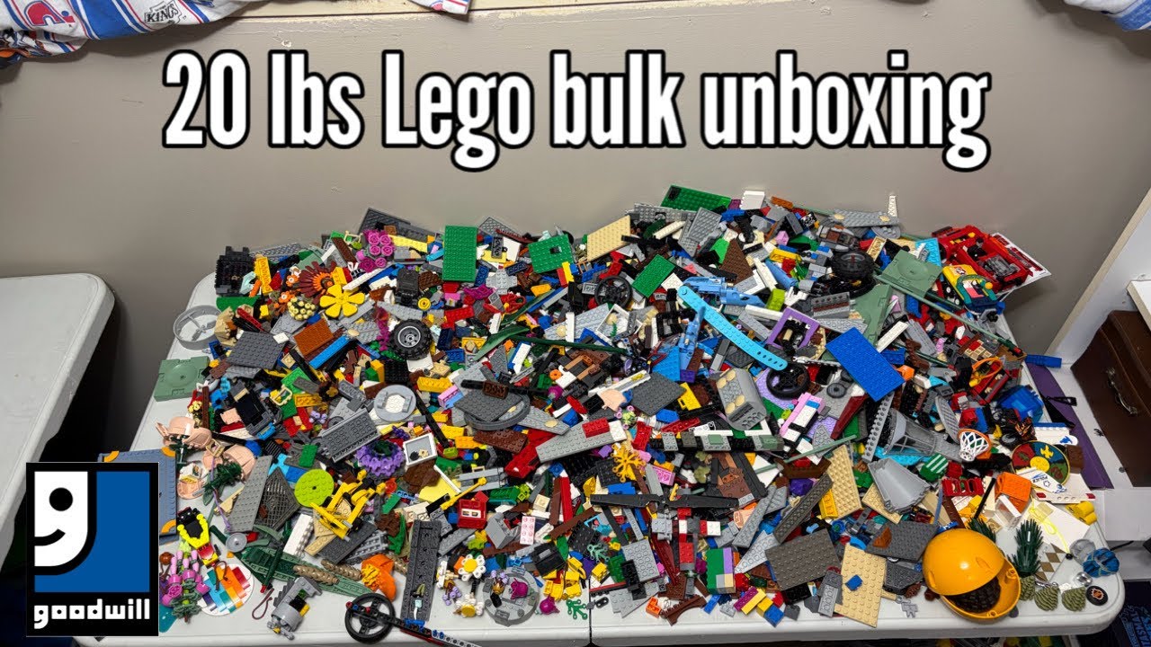I bought 20 lbs of Lego from Goodwill