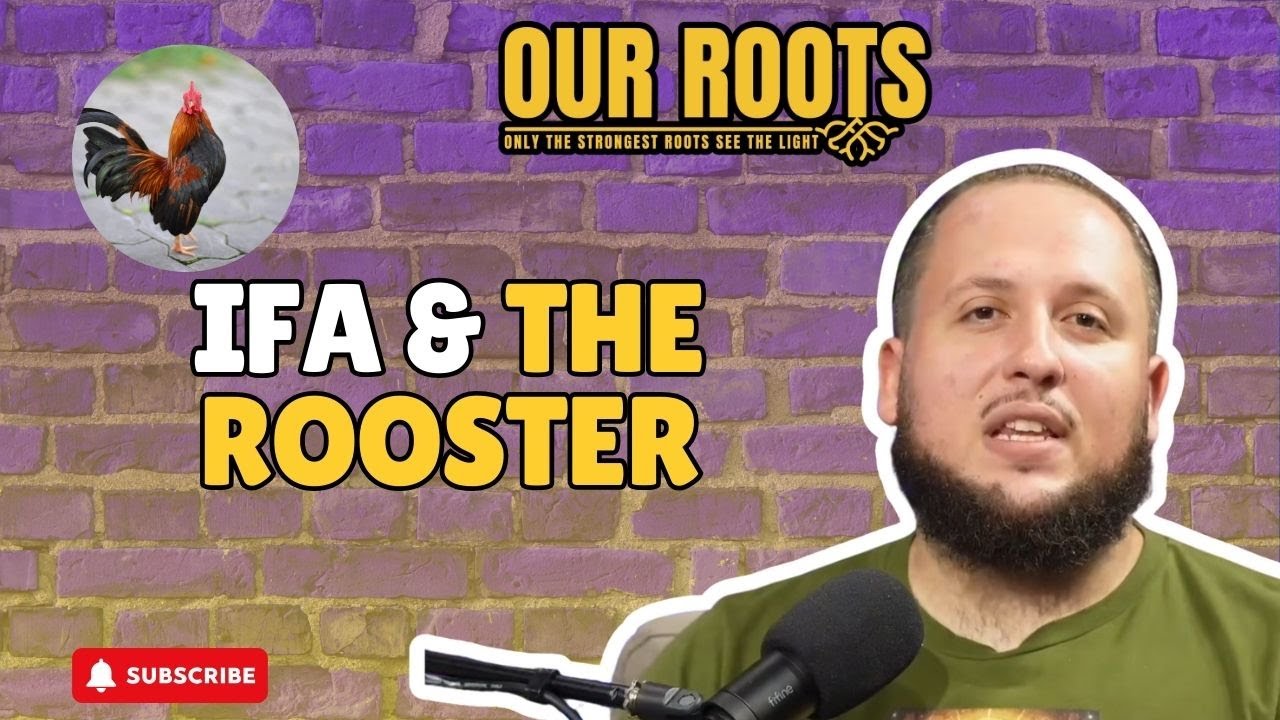 Ifa & The Rooster I Joseph Baba Ifa