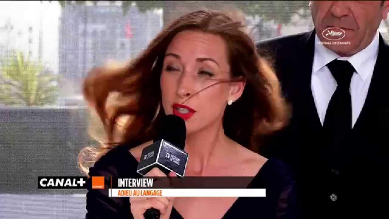 Cannes 2014 - GOOD BYE TO LANGUAGE : Best of Interview
