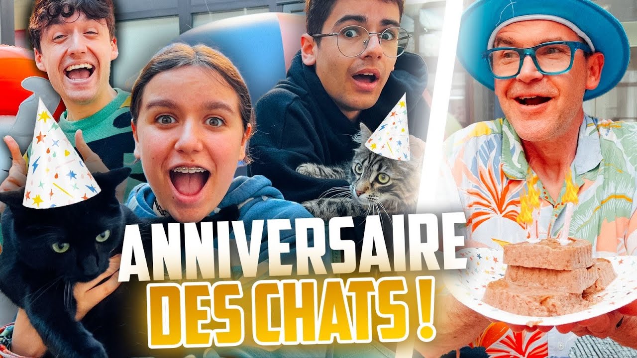 L'ANNIVERSAIRE DE NOS CHATS ! - PINK LILY
