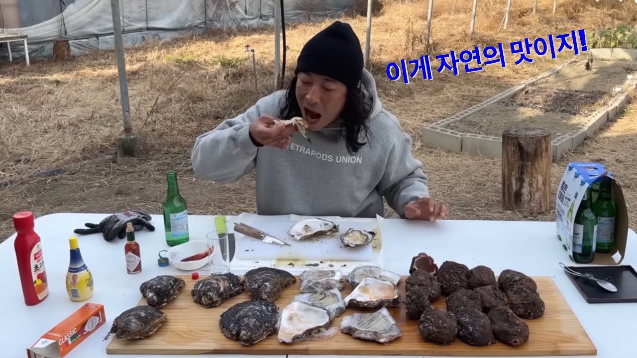 1일 해남이 되어 베테랑 해녀들과 바위굴, 돌멍게 채취하기