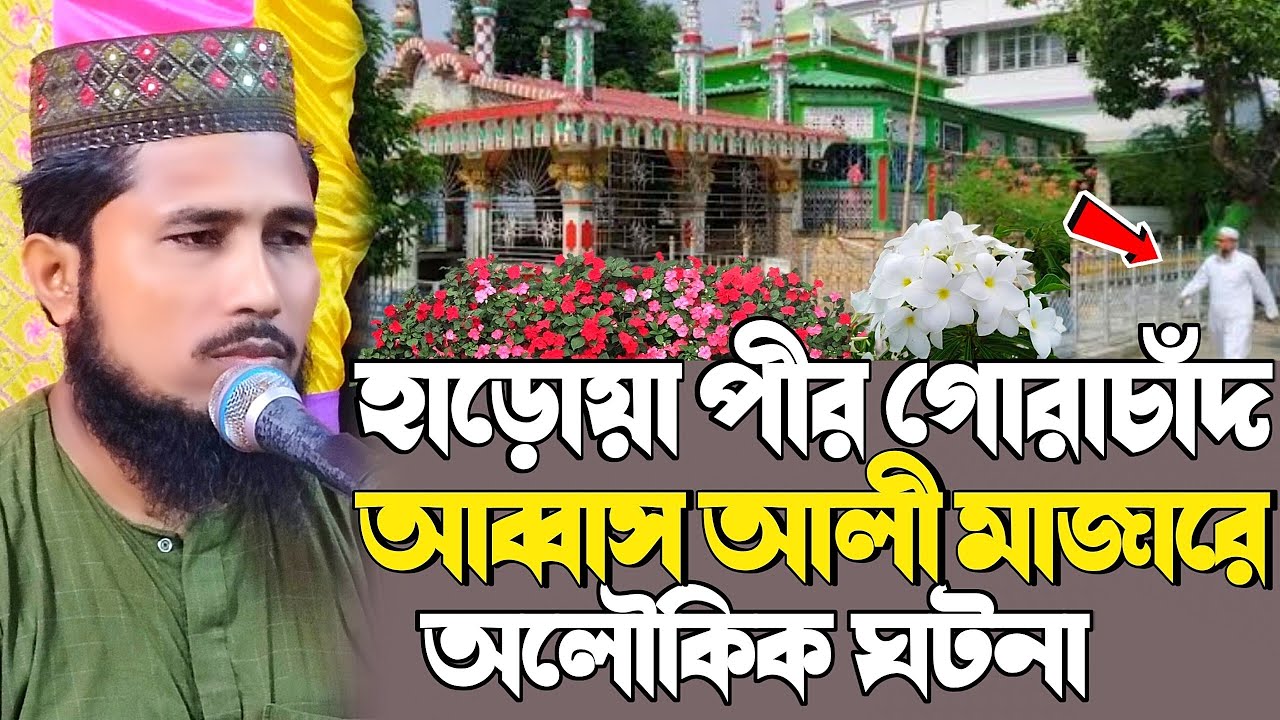 maulana hasibur rahaman┇হাড়োয়া পীর গোরাচাঁদ আব্বাস আলী মাজারের ঘটনা┇মাওলানা হাসিবুর রহমানের ওয়াজ