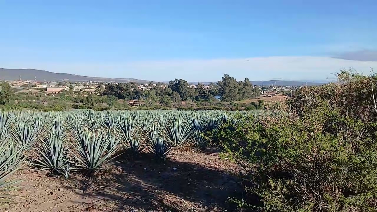 Cueramaro, Guanajuato; visto desde la loma de cieneguillas.