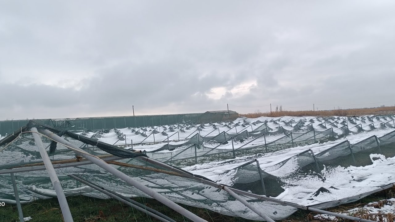 Սխալ, որ դարձավ  ճակատագրական ։ #Արևապաշտպան_ցանցեր,  ինտենսիվ գյուղատնտեսություն ։ #այգի #Ագրո