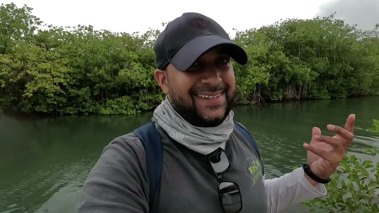 FISHING THE MANGROVES AT THE SIDE OF THE HOTEL! Catching Snook In Curacao - Caribbean