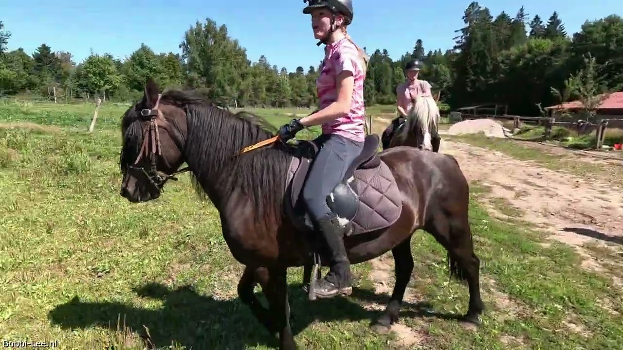 Vakantie Frankrijk dag 12. We gaan PAARDRIJDEN in een BUITENRIT. Gaat dit een SUCCES worden? #3822
