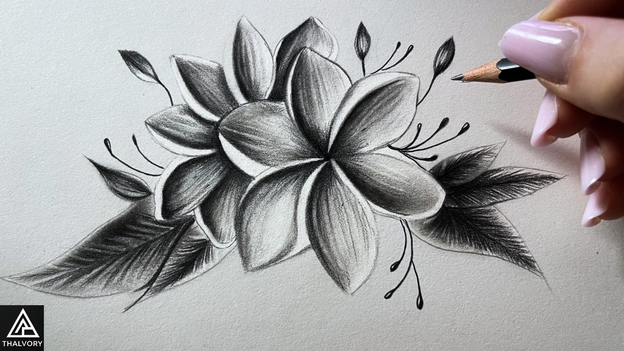 How to Draw Beautiful Plumeria 🌸 | Easy Pencil Tutorial for Beginners | Step by Step