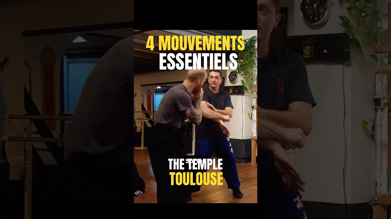 Chuen Sao, Bon Sao, Tan Sao : Un Combo Redoutable en Wing Chun