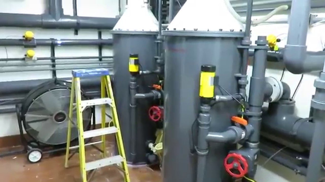 Aquarium Engineering protein skimmers at work