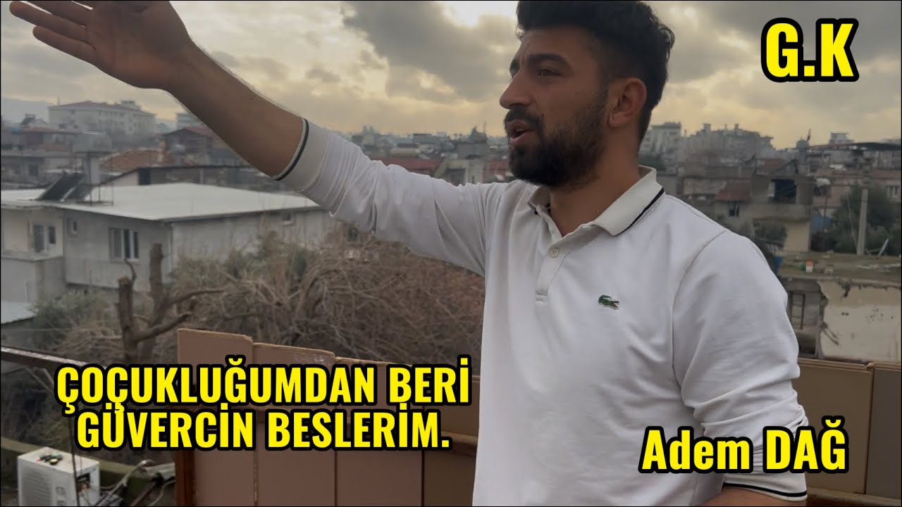 ÇOÇUKLUĞUMDAN BU YANA GÜVERCİN BESLERİM .