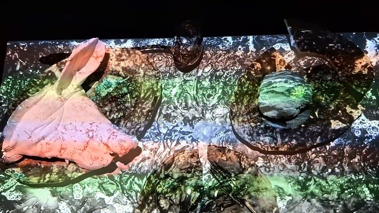 Hammelmann 2