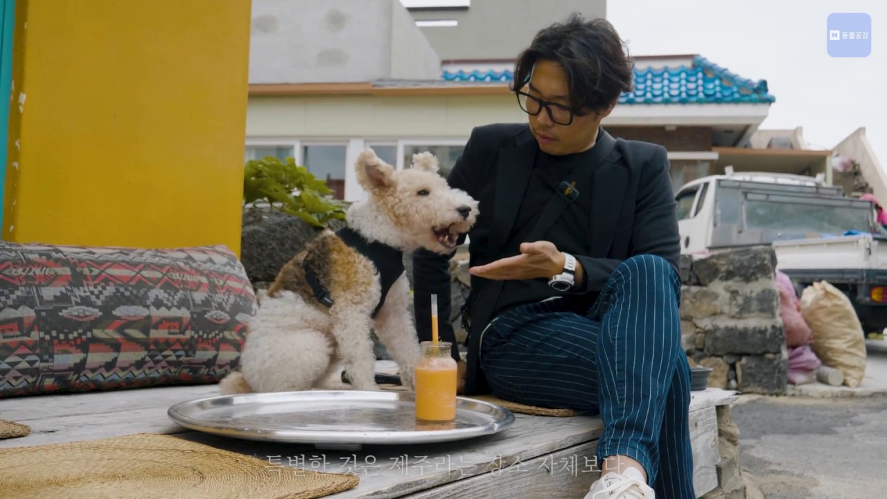 [영상에세이] 올드독의 제주살이