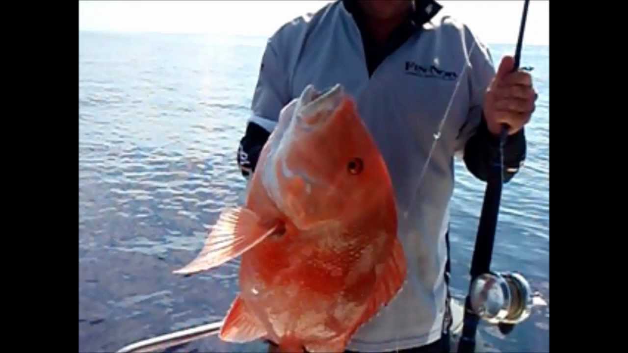 Fin Nor reel test , marquesa 2 speed MA20 II , Red Emperor 1770