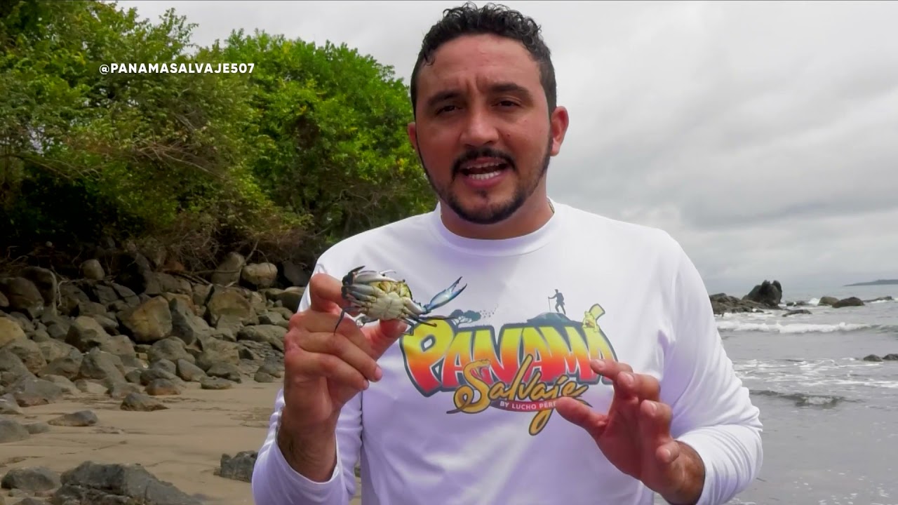 Boca Chica, Chiriquí, Panamá Salvaje / Lucho Peréz