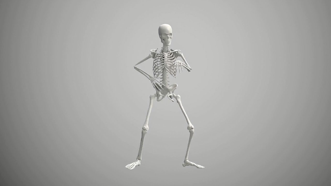 Skeleton Break dance award winning animation video