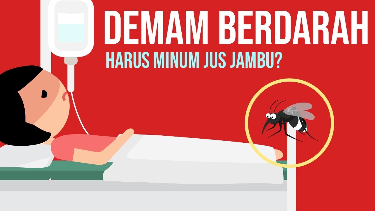 Demam Berdarah-Haruskah Minum Jus Jambu??