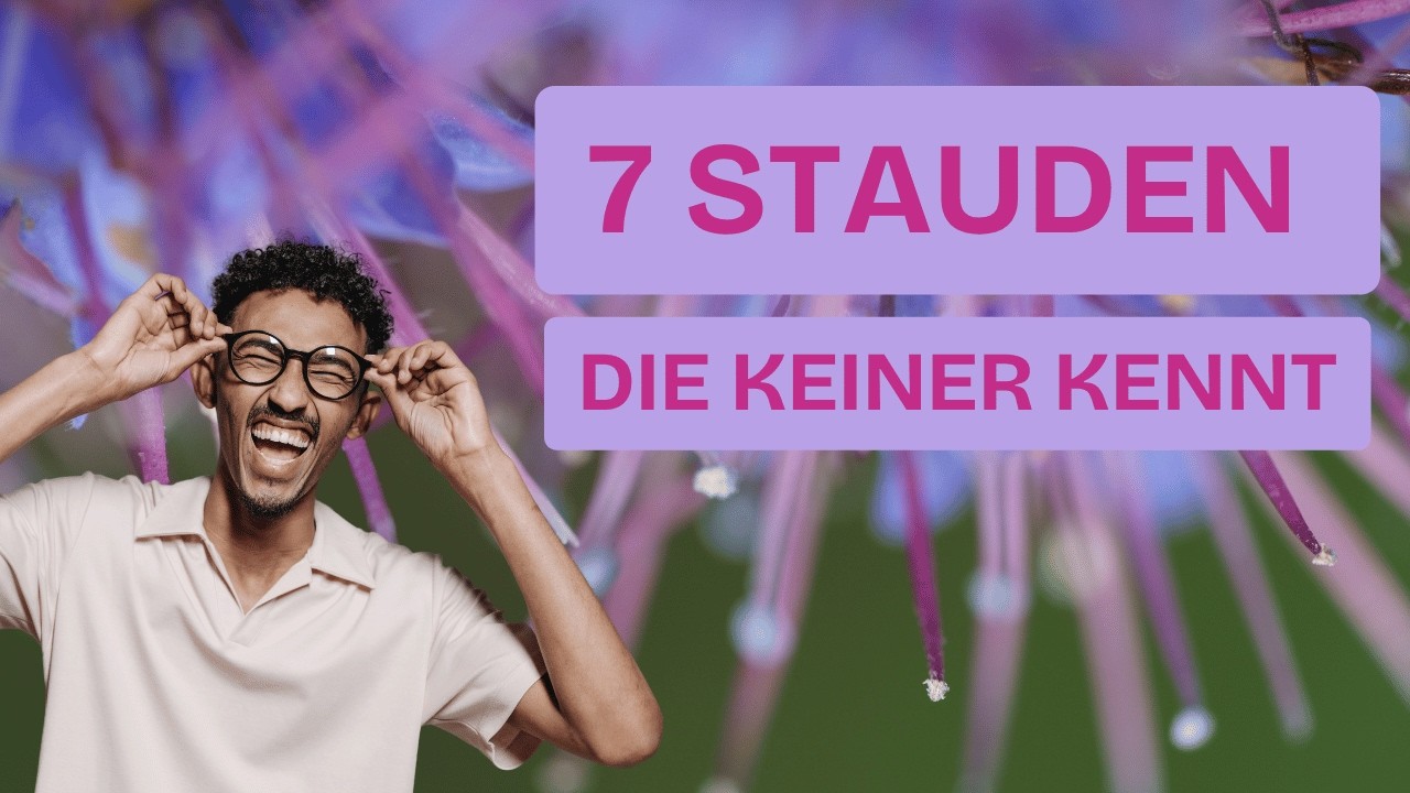 Die 7 BESTEN Stauden, die du noch NIE im Gartencenter gesehen hast!