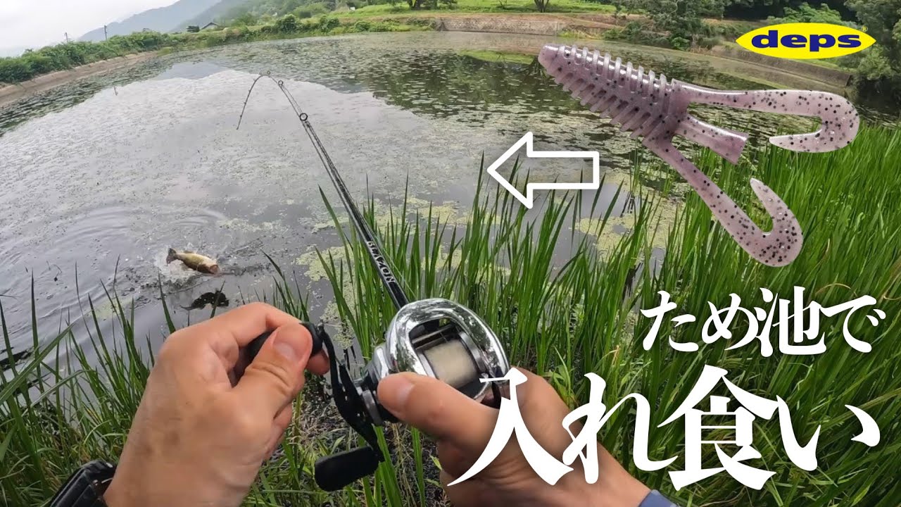 【バス釣り】衝撃…初めて使ったバルビュータが釣れすぎて、もはやチート…［フリーリグ］［デプス］［梅雨］［6月］［ブラックバス］