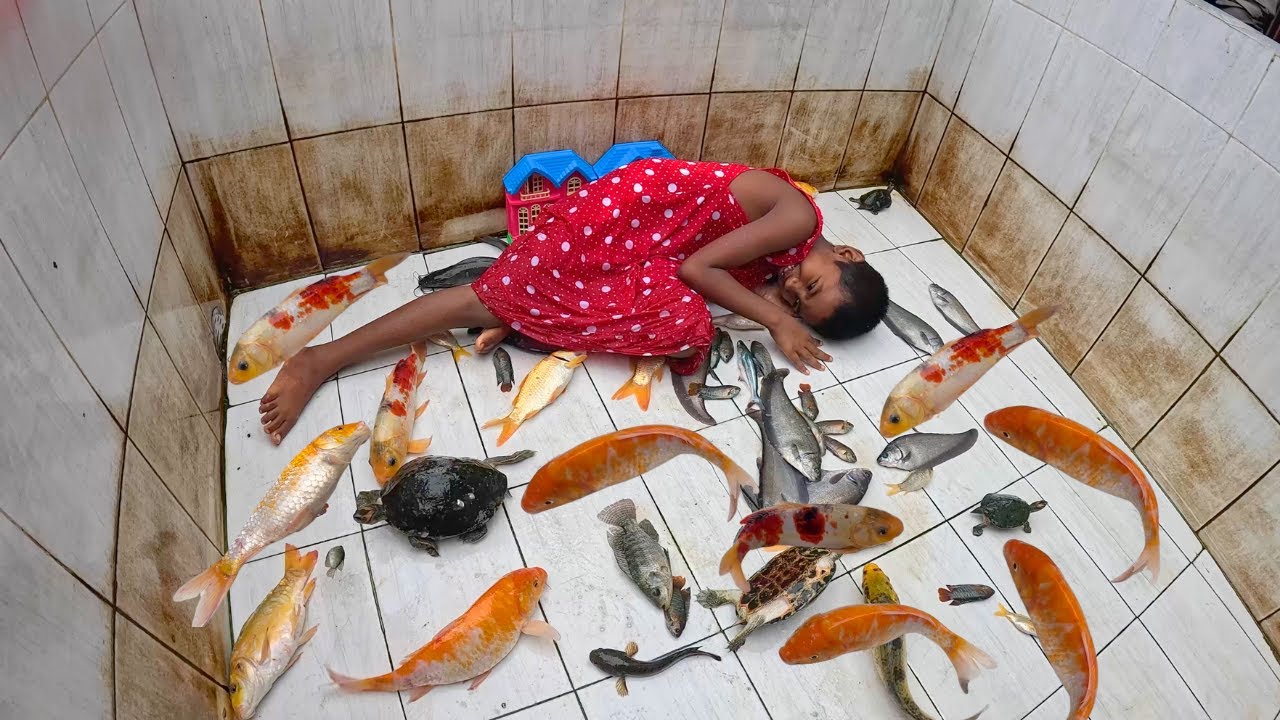 Aquarium Cleaning 4K Ultra HD (Learn How to Clean Fish Tank with Kids)