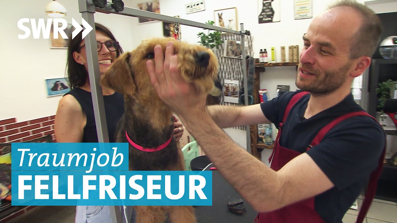 Fellpflege bei Vierbeinern – Unterwegs mit dem mobilen Hundefriseur
