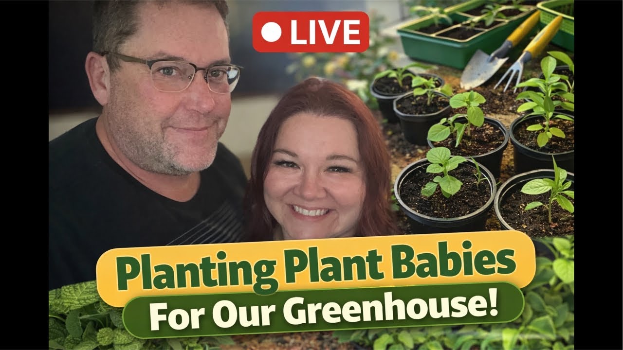 Pop-Up LIVE 🌱 Let’s Plant Our Greenhouse Babies Together!