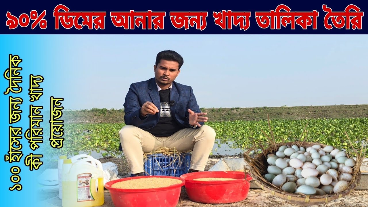 ৯০% ডিমের আনার জন্য খাদ্য তালিকা তৈরী করলাম। এবং ১০০ হাঁসে দৈনিক খরচ কত।